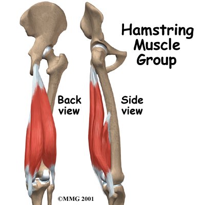 Physiotherapy in Toronto for Hamstring Pain